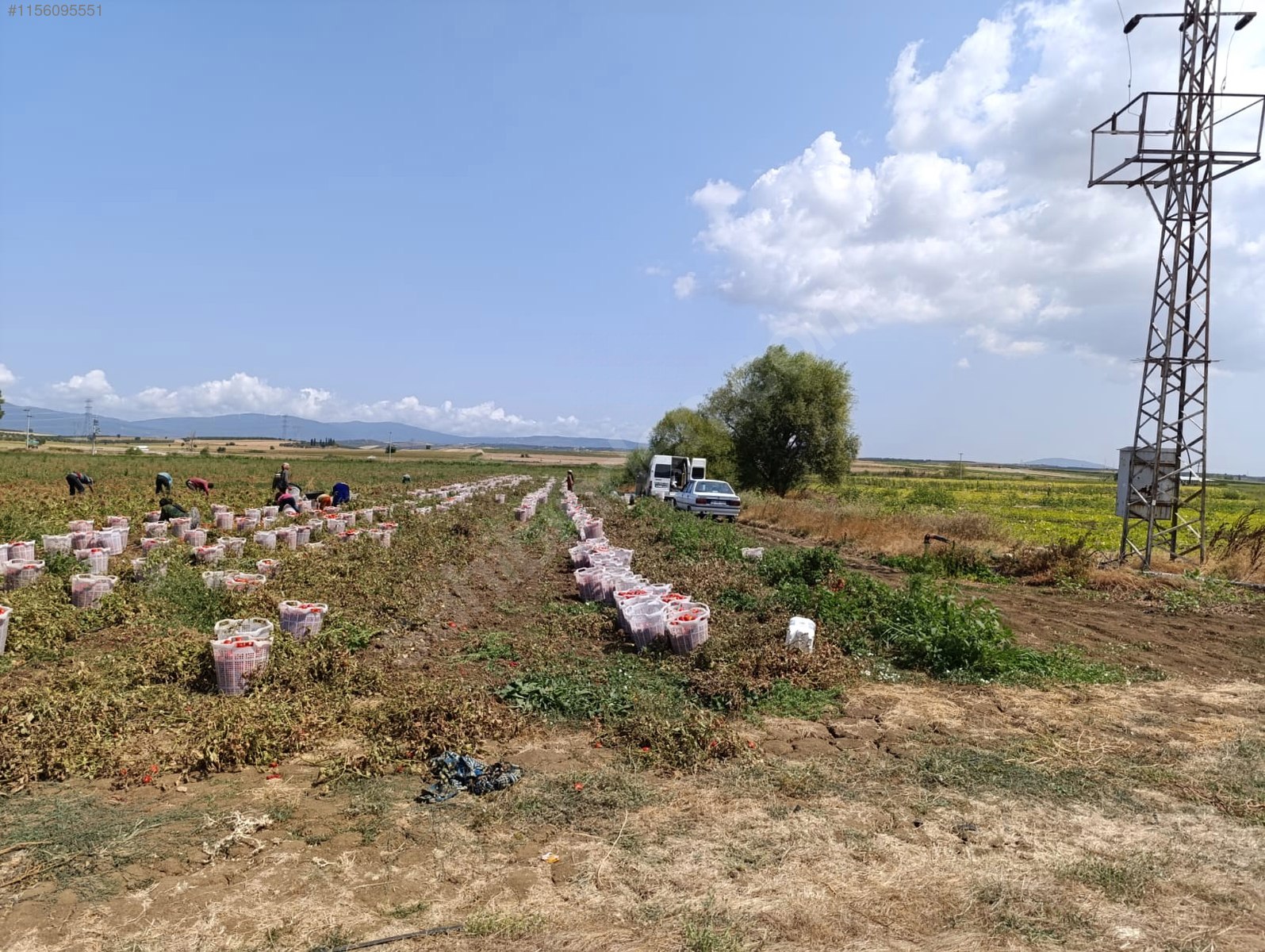BURSA KARACABEY ÇAVUŞ KÖYÜNDE  3.000  M² TARLA SATILIKTIR - BURSA KARACABEY fotoğraf 18